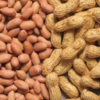 The Amazing Benefits Of Groundnut Water