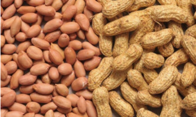 The Amazing Benefits Of Groundnut Water