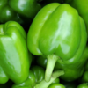Why South African Women Love Eating Green Pepper