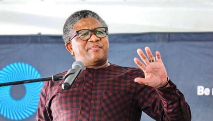 Fikile Mbalula Biography: Age, Education, Career, Wife, Net Worth